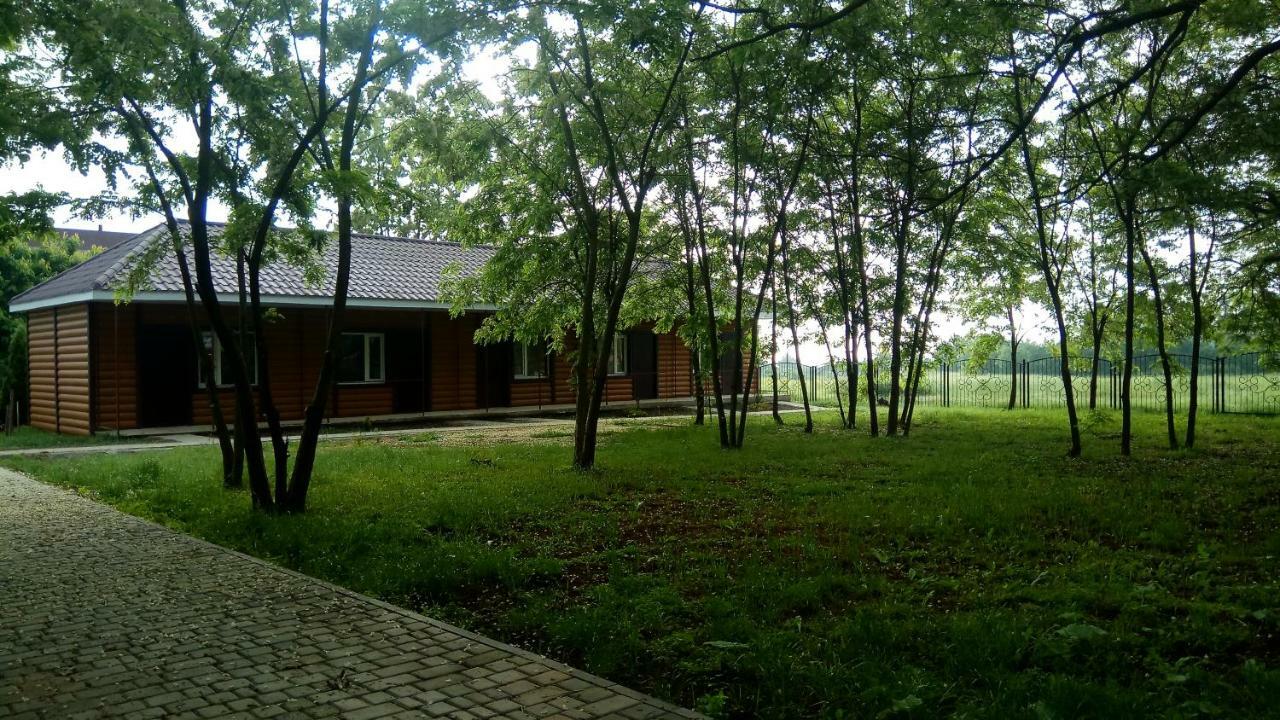 Отель "Лагита" Sergeyevka Esterno foto